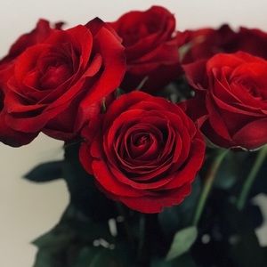 Meet your Posher, Selena